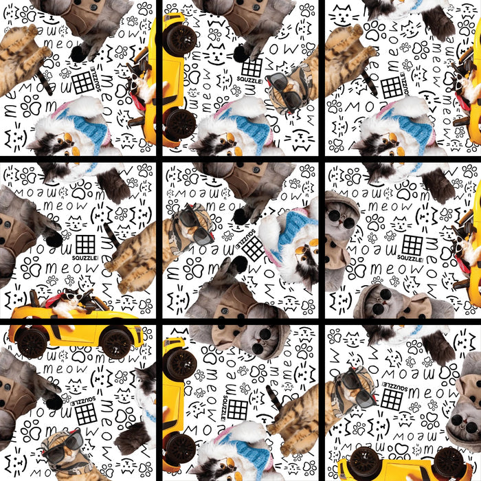 Squzzle Puzzle