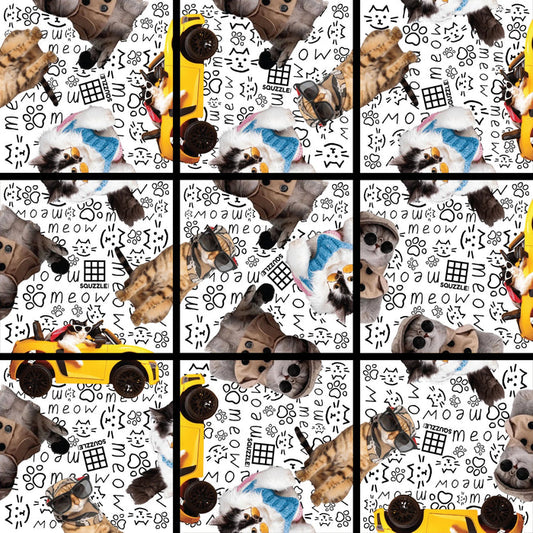 Squzzle Puzzle