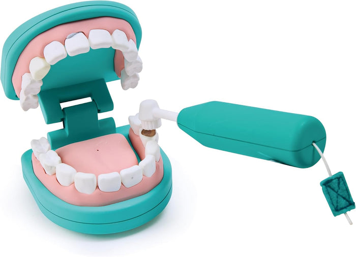 Hape toy dental set toothbrush on a white background.