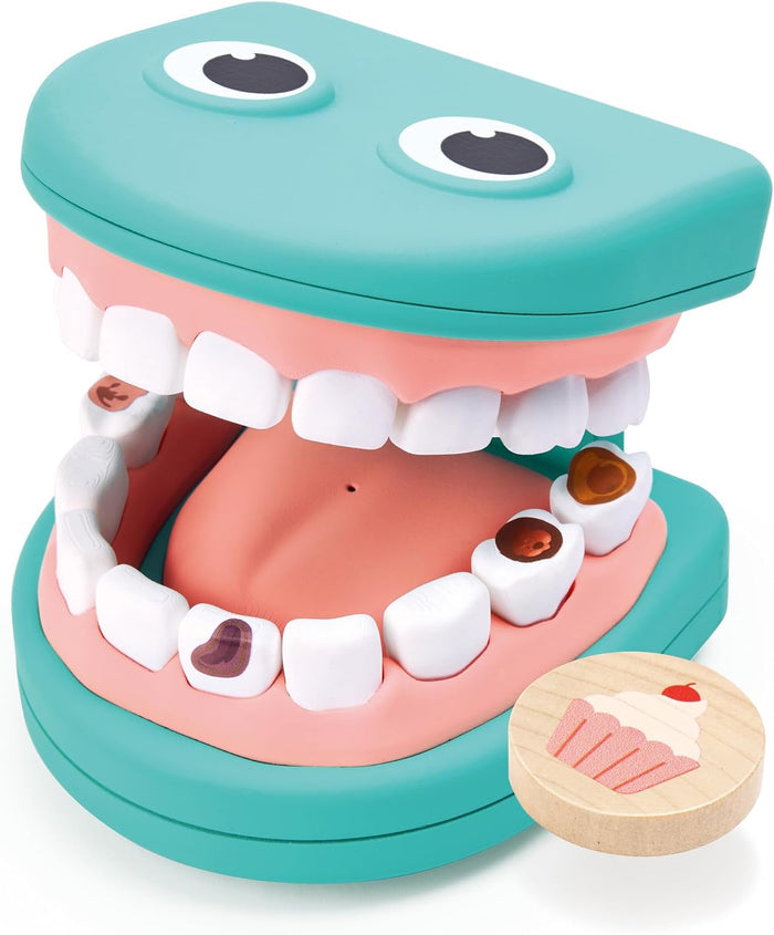 Hape toy dental set teeth with cavities on a white background.