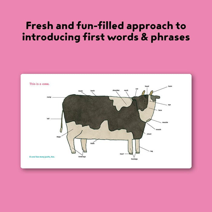 Taro Gomi's Big Book Of Words