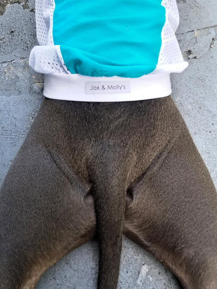 A back view of a dog in a jade-colored sports jersey with a white mesh design, perfect for game day, featuring white accents.
