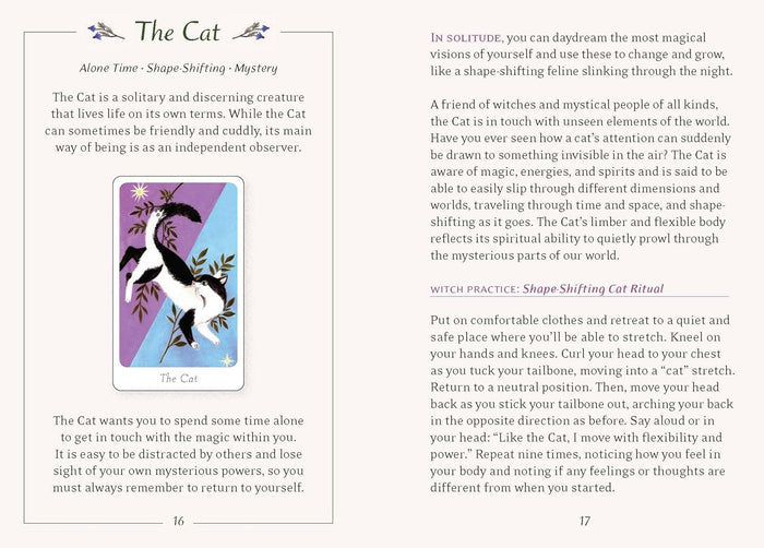 The Little Witch's Oracle Deck