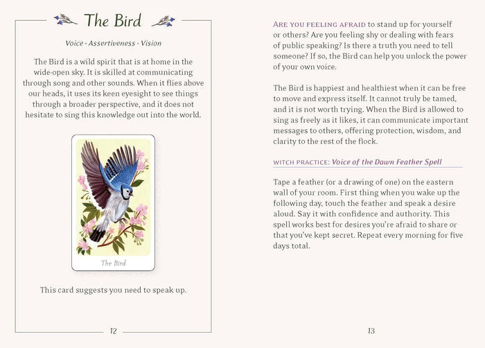 The Little Witch's Oracle Deck