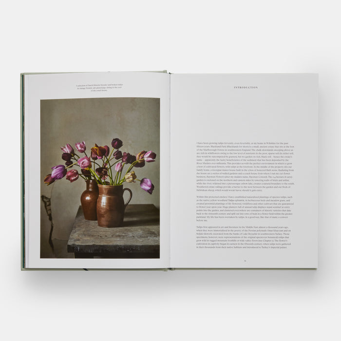 The Tulip Garden: Growing and Collecting Species, Rare and Annual Varieties