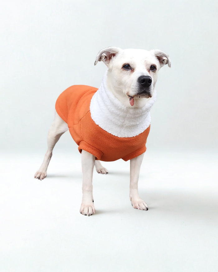 Toasted Orange Fleece Dog Sweater with Sherpa Turtleneck