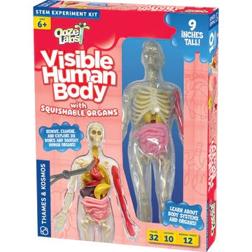 Ooze Labs Visible Human Body model with squishable organs packaging