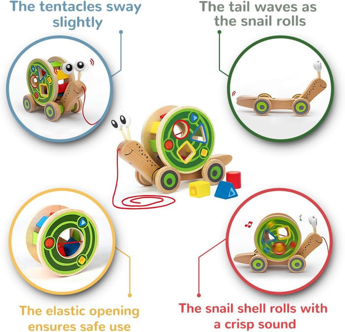 Diagram of the different movements of the  walk along snail including "swaying tentacles" and "wavy tail"