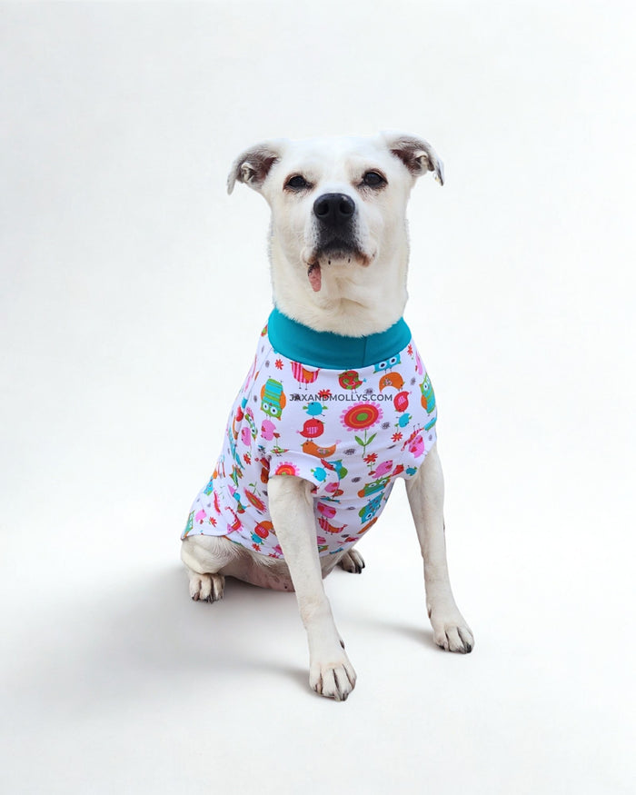 Whimsical Owls & Birds cotton-spandex dog pajamas on white dog, front view sitting