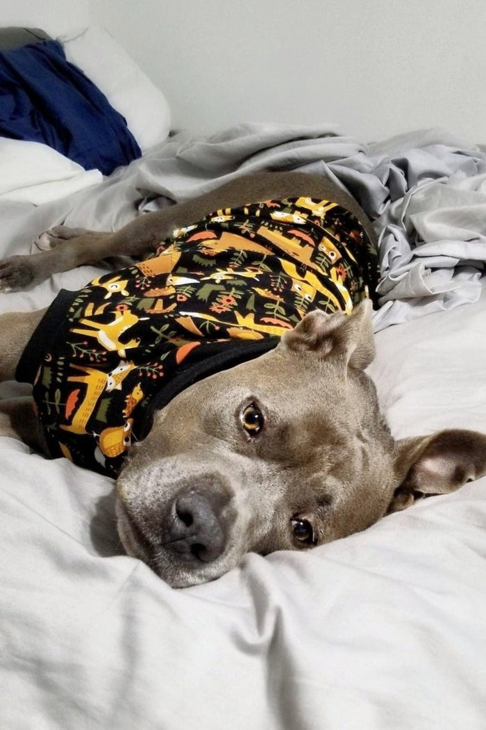 Jax & Molly's Animal Dog Pajamas