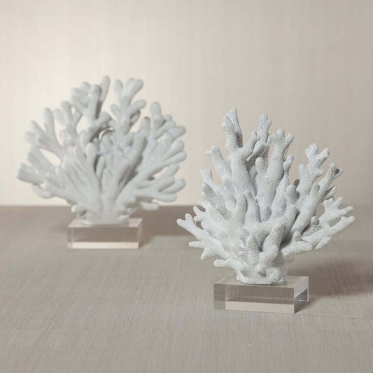 White Resin Coral on Acrylic Base