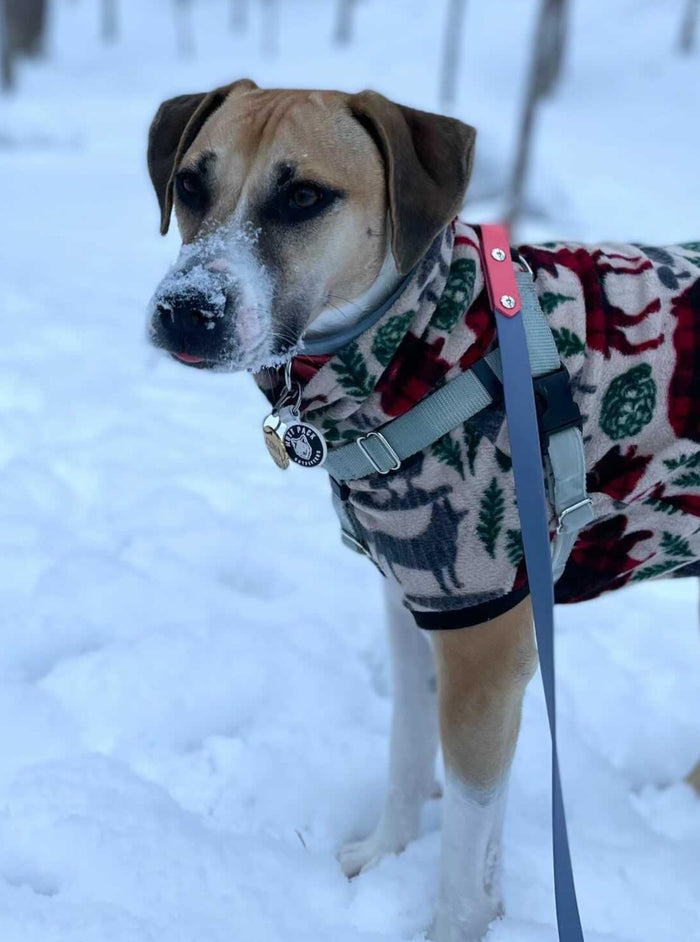 Wild Nature Dog Sweater - Made to Order