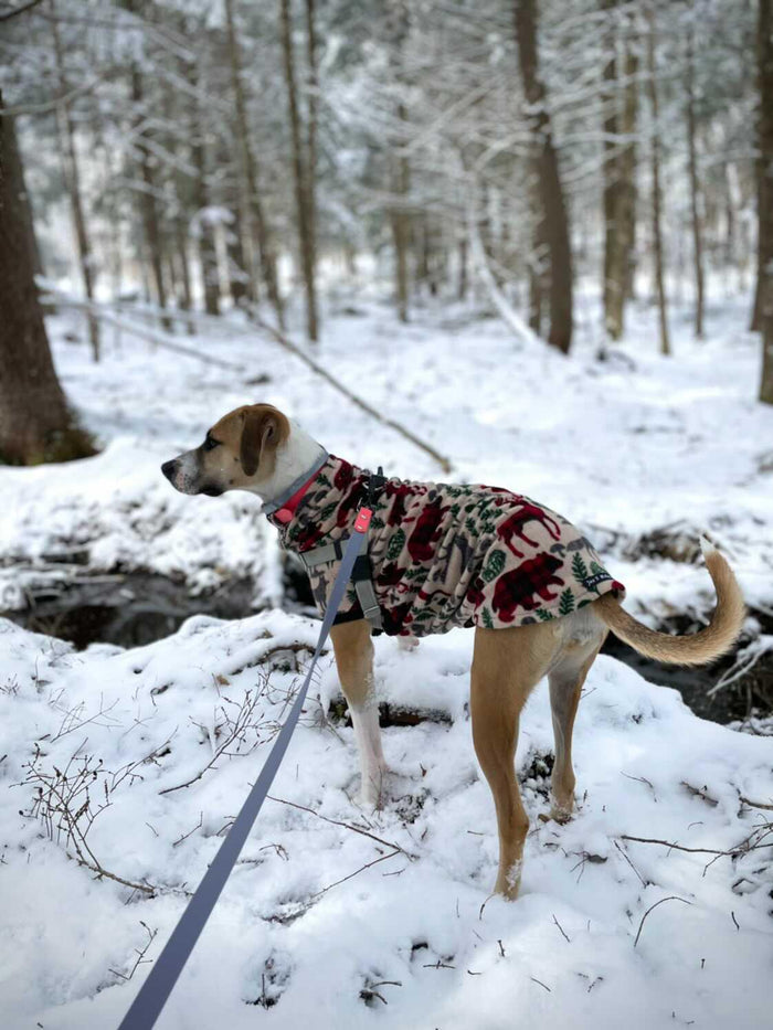 Wild Nature Dog Sweater - Made to Order