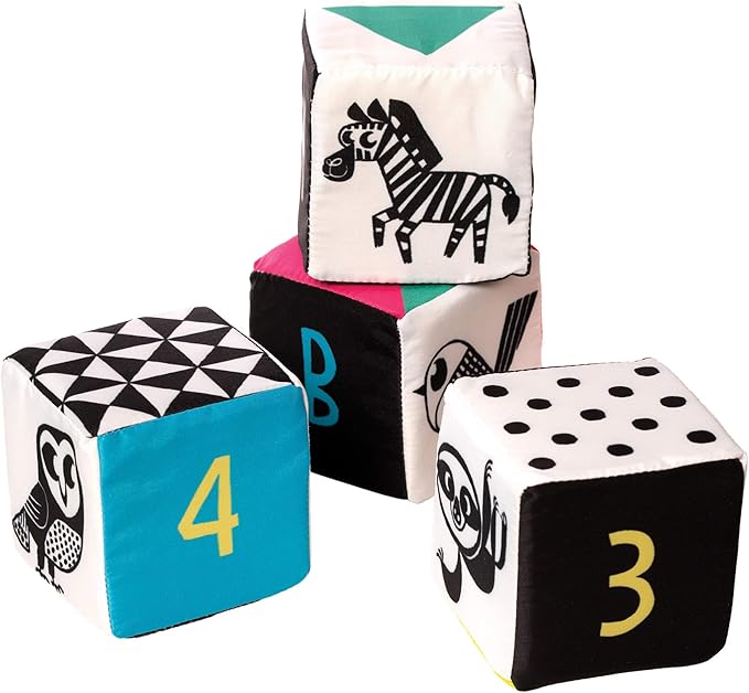 Wimmer Ferguson Mind Cubes