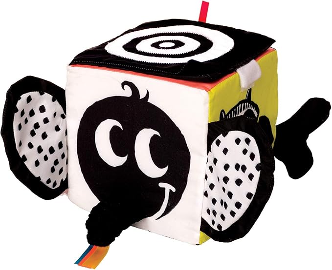 Wimmer Ferguson Multisensory Learning Cube