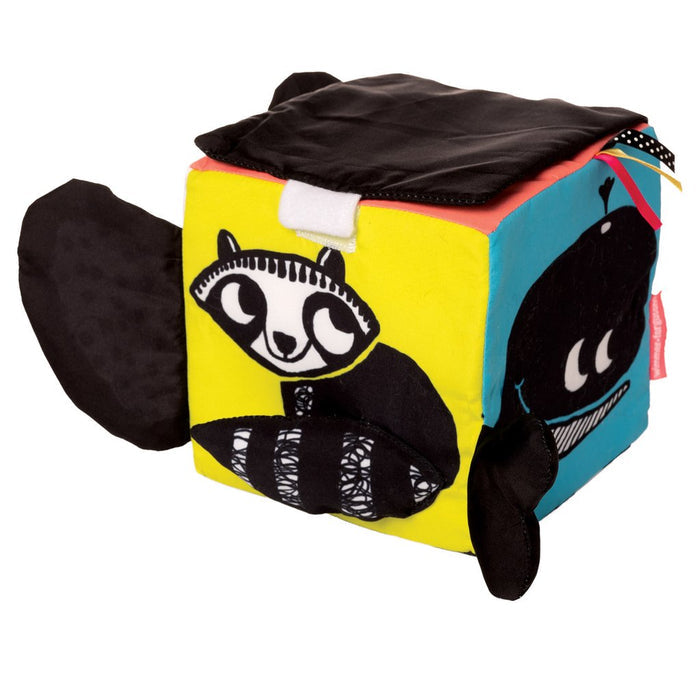 Wimmer Ferguson Multisensory Learning Cube