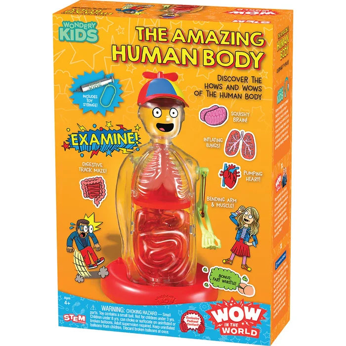 Toy packaging for 'The Amazing Human Body' educational toy with colorful design and anatomical illustrations.