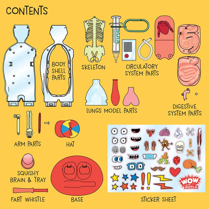 Illustrated parts of a body model kit with labels on a yellow background